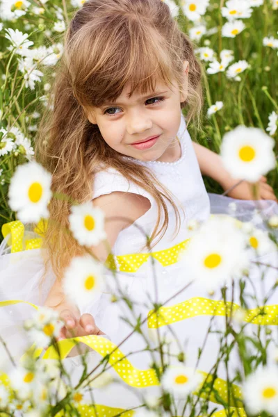 Portrait of child girl at camomile field — Stock Photo, Image