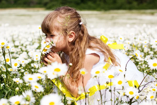 Pretty child girl at camomile field — Stock Photo, Image