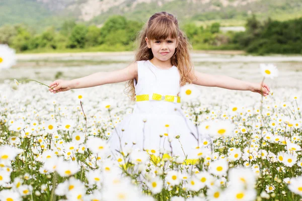 Cute child girl at camomile field — Stock Photo, Image