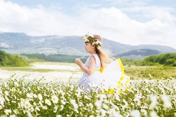 Mignon enfant fille au champ de fleurs de camomilles — Photo
