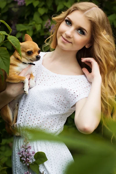 Bella ragazza con fiori lilla e il suo cane chuhuahua — Foto Stock