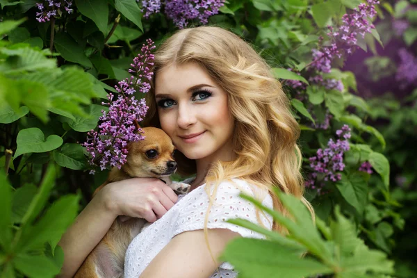 Belle fille avec des fleurs lilas et son chien chuhuahua — Photo