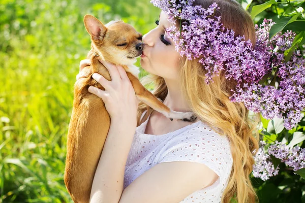 Beautiful girl with lilac flowers is kissing chuhuahua dog — Stock Photo, Image