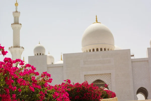 Mešita Abu Dhabi Sheikh Zayed White — Stock fotografie