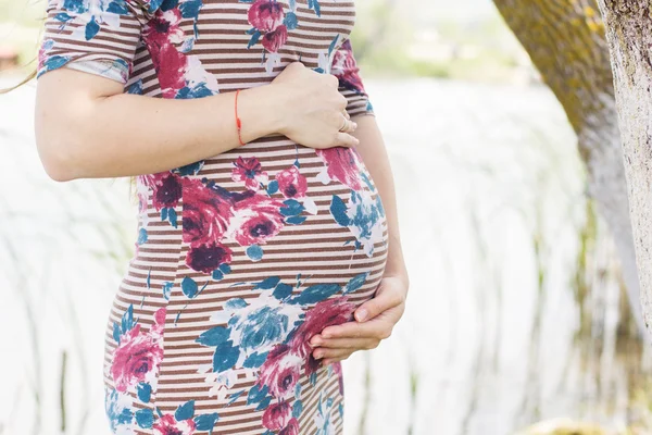 Belly of pregnant girl is standing near tree — Stock Photo, Image