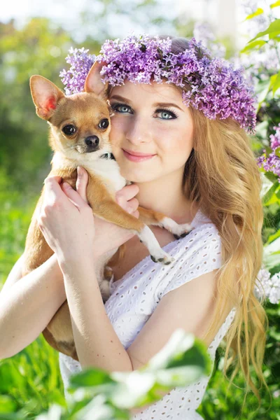 예쁜 여자는 그녀의 작은 개를 들고 있다 — 스톡 사진