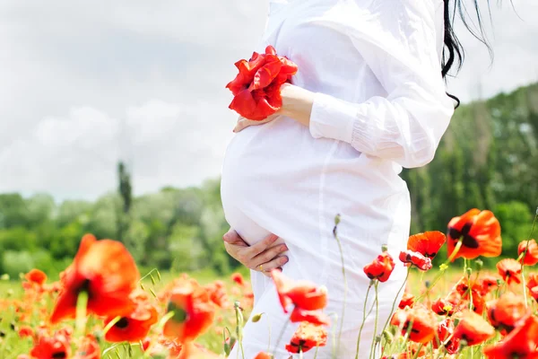 Belly of pregnant girl on poppy field — Stock Photo, Image