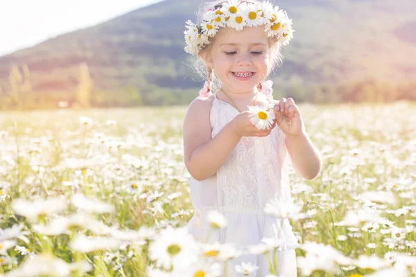 Söt liten flicka i fältet kamomill — Stockfoto