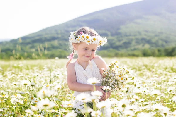 Usměvavá holčička s věncem chamomiles — Stock fotografie