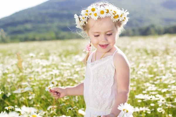 Chamomiles çelenk ile gülümseyen küçük kız — Stok fotoğraf