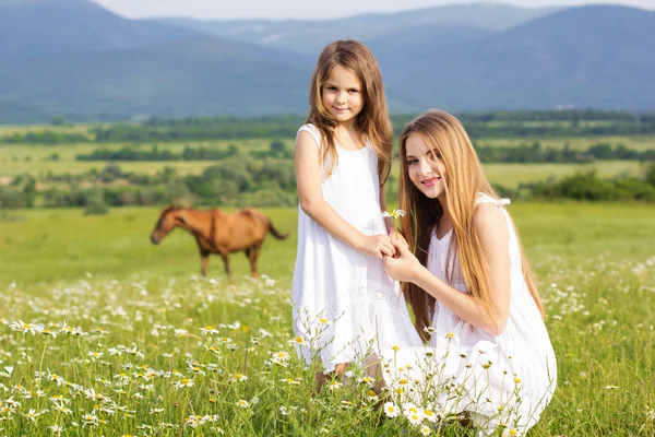 Two pretty sisters at meadow of chamomiles — Stock Photo, Image