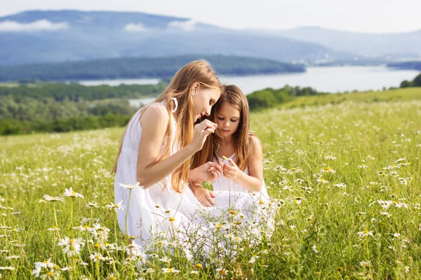 两个可爱姐妹在草地上的 chamomiles — 图库照片