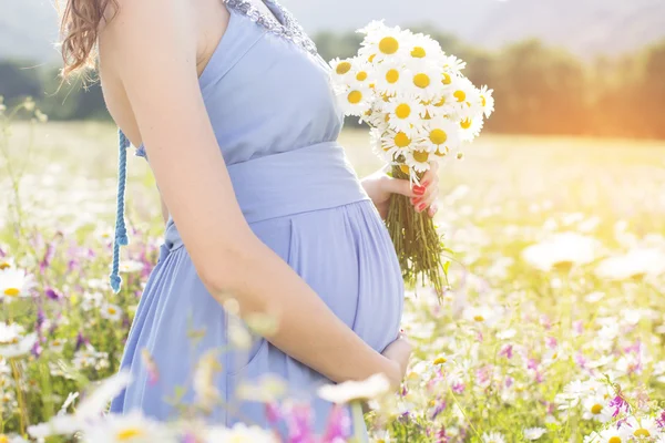 Belly of pregnant woman with daisy flowers — Stock Photo, Image