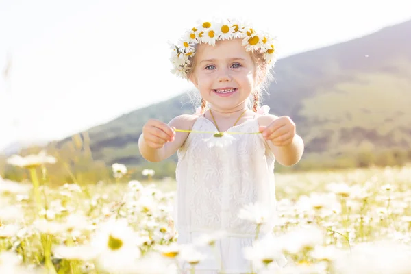 Söt liten flicka i fältet kamomill — Stockfoto