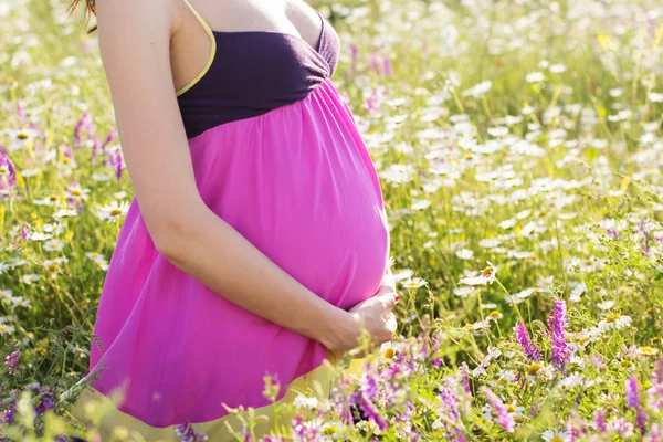 Karın hamile kadın papatya çiçekler ile sahada — Stok fotoğraf