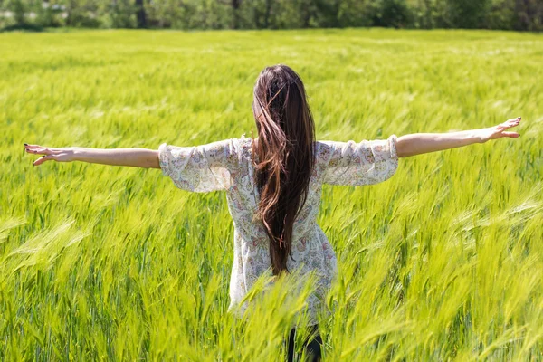 Hermosa chica en el campo verde de centeno —  Fotos de Stock