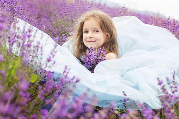 Happy little girl in a field of lavender — Stock Photo, Image