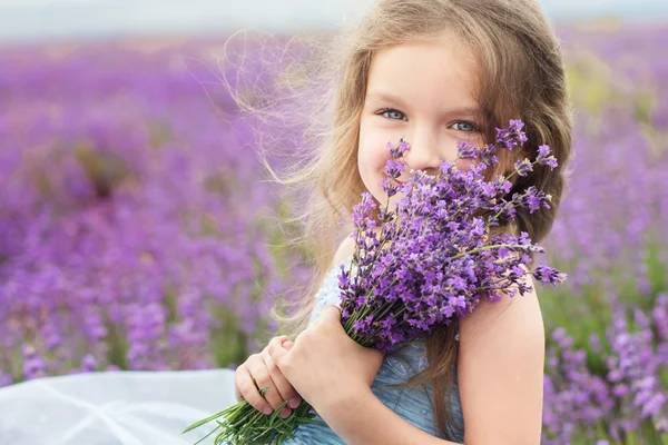 Lycklig liten flicka lavendel fält i bukett Stockfoto