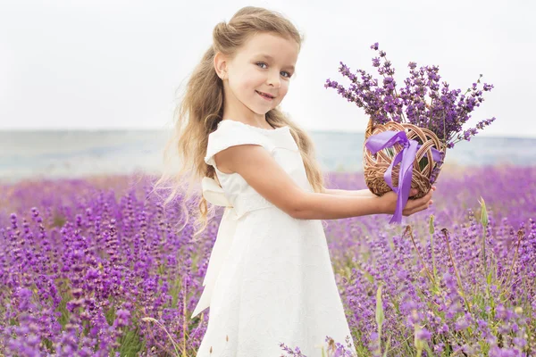 Cute girl in lavender field with basket of flowers — Stock Photo, Image