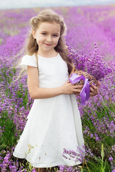 Krásné dítě dívka v poli levandule s košíkem květin — Stock fotografie
