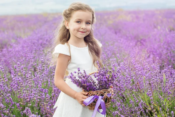 Menina bonita no campo de lavanda com cesta de flores — Fotografia de Stock