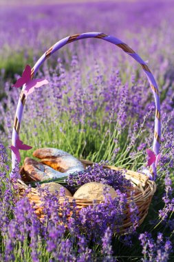 Mor lavanta çiçekleri sepette portre resmi