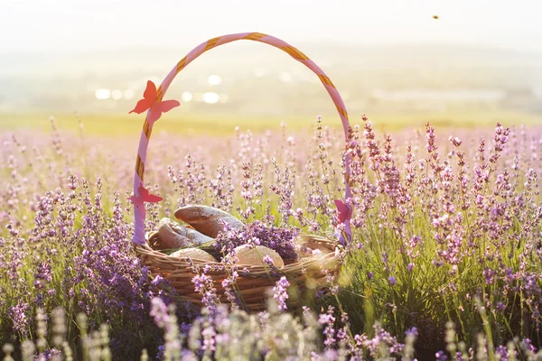 Basket with sweet-stuff in purple lavender flowers