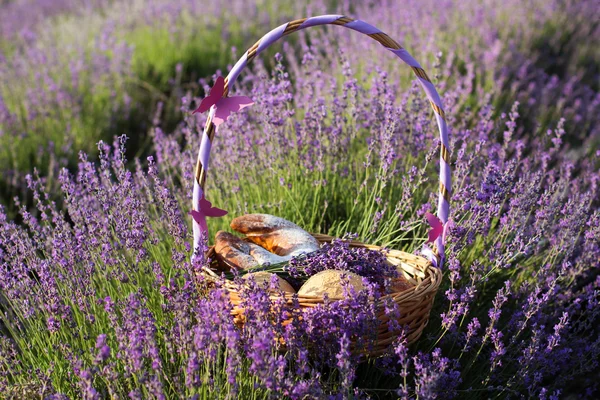 Vacker korg med lila band och fjäril och söt-saker i ängen av lavendel blommor — Stock fotografie