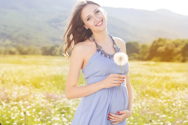 Kobieta w ciąży z mniszka lekarskiego w ręce — Zdjęcie stockowe