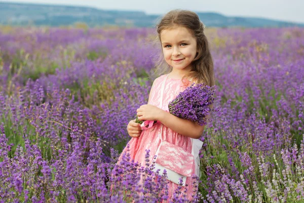 Cute little child girl in meadow of lavender — Stock Photo, Image