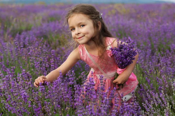 Χαριτωμένο μικρό κορίτσι παιδί λεβάντα πεδίο με μωβ μπουκέτο — Φωτογραφία Αρχείου