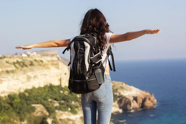 Vista posteriore del viaggiatore è in piedi su roccia con zaino — Foto Stock