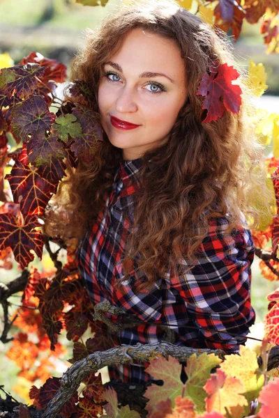 Beautiful young woman in autumn grape vineyard — Stock Photo, Image