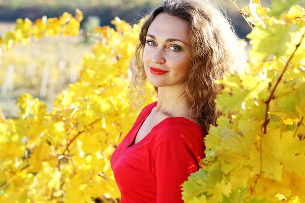 Girl with curly shiny hair in yellow grape vineyard — Stock Photo, Image