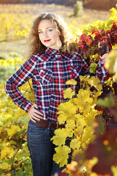 Beautiful young woman in colorful grape vineyard — Stock Photo, Image