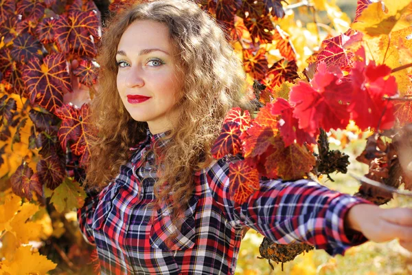 Menina bonita na vinha de uva colorida — Fotografia de Stock