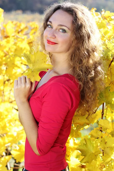 Bella ragazza nel vigneto di uva gialla, tempo di autunno — Foto Stock