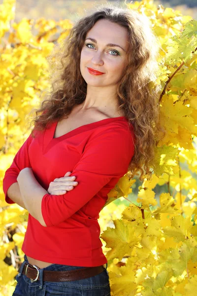 Beautiful young curly girl in yellow grape vineyard, autumn time — Stock Photo, Image