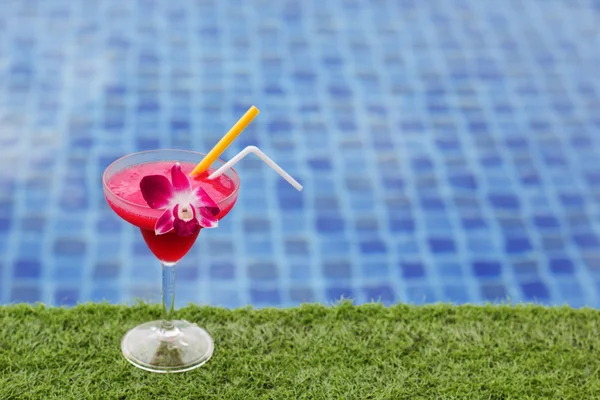 Margarita congelada com flor de morango e orquídea — Fotografia de Stock