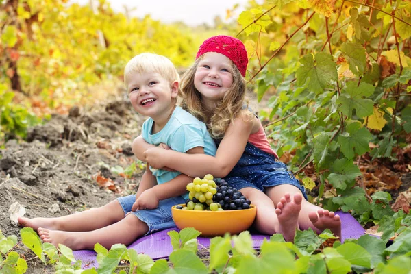 Двоє дітей розважаються на свіжому повітрі восени — стокове фото