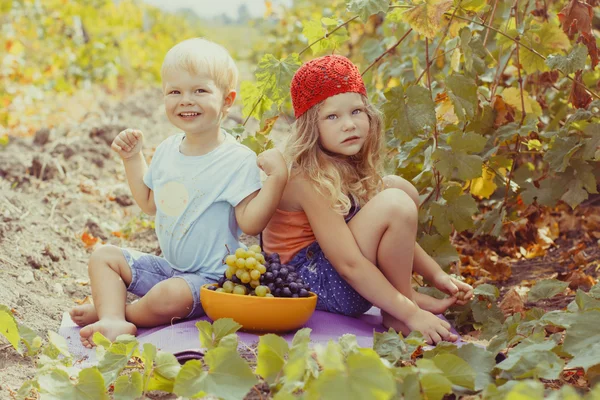 两个可爱的孩子们在玩户外秋季 — 图库照片