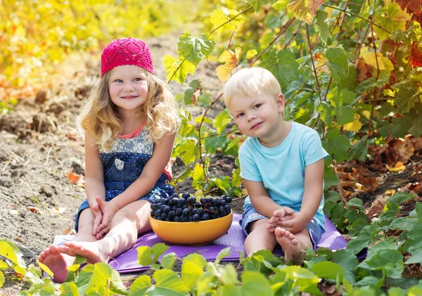 Kinder heizen im Herbst Trauben im Freien — Stockfoto