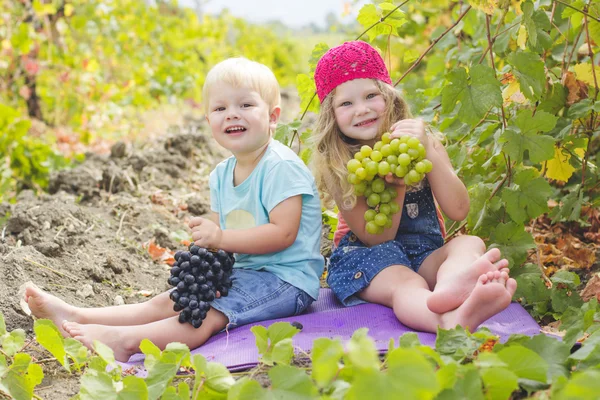 Childrens are heating grapes outdoor during autumn — Stock Photo, Image