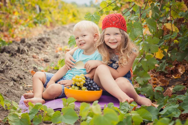 Schwester und Bruder essen im Herbst im Freien Trauben — Stockfoto