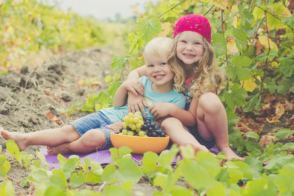 Sister and brother are eating grapes in vineyard — Stock Photo, Image