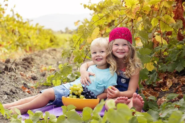 Happy sister and brother are eating grapes in autumn vineyard — Stock Photo, Image