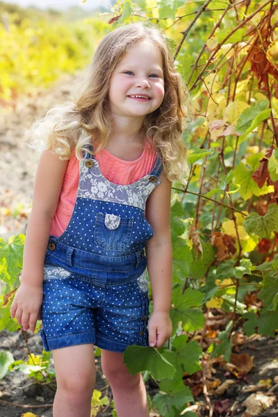 Blondýnka hezká dítě dívka v podzimní vinice — Stock fotografie