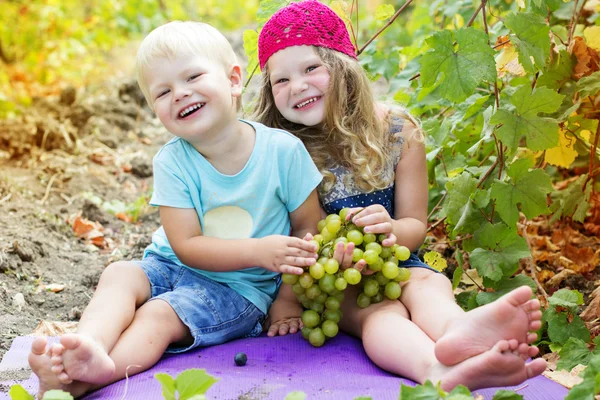 Happy childrens are eating grapes outdoor — Stock Photo, Image