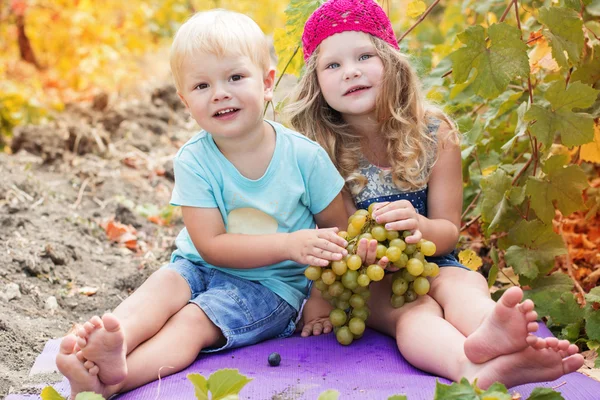 Sibs are eating grapes outdoor during autumn — Stock Photo, Image