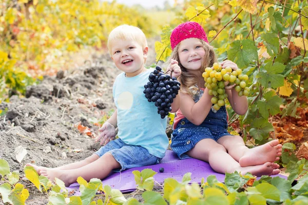 Happy childrens are holding buhch of grapes outdoor — Stock Photo, Image